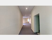 Langer, heller Flur mit cremefarbenen Wänden und grauem Teppichboden. Die Decke ist mit Rasterplatten und eingelassenen Deckenleuchten ausgestattet, am Ende des Flurs befindet sich ein Fenster und mehrere Türen.