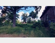 Eine überwachsene Grünfläche mit hohem Gras und Bäumen, umgeben von ziegelsteinernen Gebäuden und einem Wasserturm im Hintergrund. Die Szenerie wirkt verlassen und von dichter Vegetation geprägt.