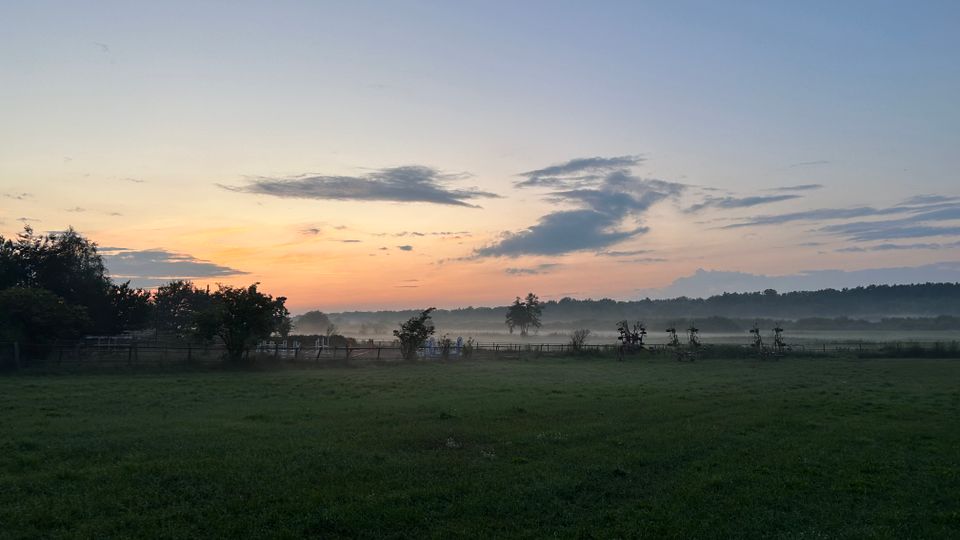 Weite Wiesenlandschaft mit niedrigen Zäunen und vereinzelten Bäumen, im Hintergrund ein Waldrand. Darüber ein Himmel in Dämmerungsfarben mit verstreuten Wolken und leichtem Bodennebel über den Feldern.