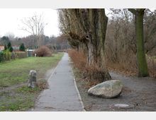 Fußweg mit einer asphaltierten Strecke, die von Bäumen und kahlen Sträuchern gesäumt ist. Links befindet sich eine Grünfläche mit einzelnen Büschen und kleinen Gebäuden im Hintergrund, während rechts ein großer Stein und dichteres Gestrüpp zu sehen sind.