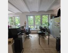 Helles Büro mit Holzboden, drei Schreibtischen mit Computern und großen Fenstern, durch die grüne Bäume sichtbar sind. An den Seiten stehen Aktenschränke, Regale und Zimmerpflanzen.