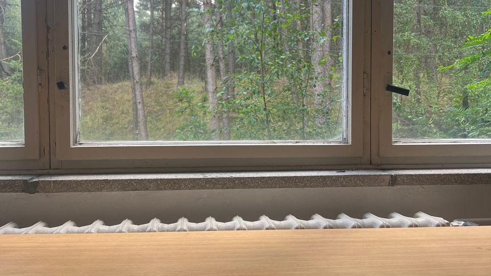 Blick aus einem Innenraum durch große Fenster auf einen Kiefernwald; unter dem Fenster stehen ein Heizkörper und ein einfacher Holztisch mit Stuhl.