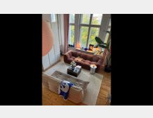 Wohnzimmer mit hohen Decken, großen Fenstern und Blick auf grüne Bäume. Zwei Sofas, eins rosa und eins beige, stehen auf einem Teppich, flankiert von einem Couchtisch; im Raum sind Zimmerpflanzen und dekorative Elemente wie Stehlampen und Bücher zu sehen.