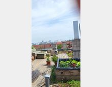 Dachterrasse mit Holzboden, bepflanzten Hochbeeten, mehreren Pflanzen in Töpfen und Loungemöbeln. Im Hintergrund sind rote Ziegeldächer und moderne Stadtgebäude sichtbar.