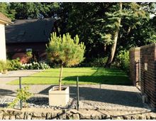 Kleiner Vorgarten mit gepflastertem Weg, einem rechteckigen Rasenbereich und einem dekorativen Nadelbaum in einem Pflanzkübel. Im Hintergrund sind ein Backsteinhaus mit Schrägdach, Bäume und eine Backsteinmauer zu sehen.