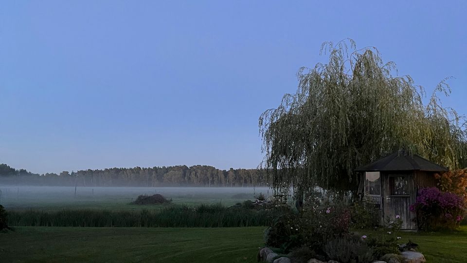 Weitläufige Rasenfläche am Rand einer nebligen Wiese oder eines Feuchtgebiets, mit Baumreihe am Horizont unter klarem Himmel. Rechts steht ein kleines Holz-Gartenhäuschen neben einer großen Trauerweide, umgeben von einem Blumenbeet mit Steinen.