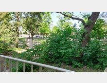 Blick von einer Veranda auf einen Gartenbereich mit dichten grünen Büschen und Bäumen. Im Hintergrund ist eine Straße mit geparktem Auto und ein kleiner, gemauerter Zaun erkennbar.