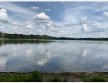 Ein ruhiger See mit klarem Wasser, umgeben von einem dichten Wald am Horizont. Im Vordergrund befindet sich eine sandige Uferlinie mit Grasbewuchs, während am See eine Person in einem kleinen roten Boot paddelt.