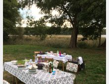 Ein Picknicktisch mit weißem Tischtuch, gedeckt mit Geschirr und Speisen, steht auf einer Wiese in einem Park. Im Hintergrund sind Bäume, Schilf und ein See sichtbar.