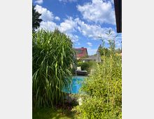 Blick in einen Garten mit dichtem, hohem Ziergras und Bambus im Vordergrund, dahinter ein rechteckiger Pool mit Liegestuhl und Sonnenschirm. Im Hintergrund sind ein Haus mit rotem Ziegeldach und Solarpaneelen sowie ein blauer Himmel mit weißen Wolken zu sehen.