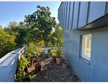 Eine Dachterrasse mit Kiesboden, mehreren Pflanzen in Töpfen und einem Geländer am Rand, umgeben von Bäumen. Rechts im Bild ist eine blaue Metallfassade mit einem kleinen Fenster zu sehen.