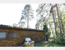 Holzschuppen mit verwitterter Fassade und Flachdach, im Vordergrund ein kleiner Tisch mit Steinen darauf. Im Hintergrund befinden sich hohe Kiefern und andere Bäume in einer Waldumgebung.