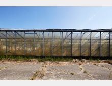 Eine verlassene Gewächshausstruktur mit Glaswänden und einem sichtbaren Metallrahmen. Im Innenbereich befinden sich vertrocknete Pflanzenreste, während der Außenbereich aus überwachsenem Gras und einem Betonboden besteht, unter einem klaren blauen Himmel.