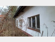 Seitenansicht eines älteren, weiß verputzten Gebäudes mit Dachrinne und mehreren rechteckigen Fenstern mit verwitterten Rahmen. Dichtes, trockenes Gestrüpp und hohe Gräser wachsen entlang der Fassade; im Hintergrund sind Bäume und ein weiteres Haus zu sehen.