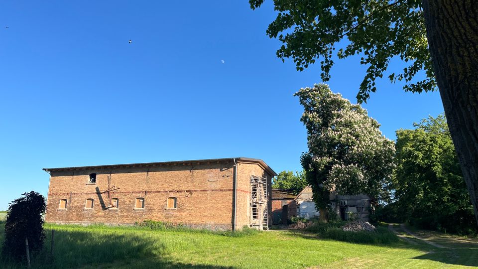 Ländlicher Hofbereich mit einem langen Backsteingebäude mit kleinen Fenstern und Gerüst an der Ecke, umgeben von Wiese und Bäumen. Rechts führt ein schmaler Weg an einem blühenden Baum und weiteren Nebengebäuden vorbei.