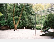 Gepflasterter Hofbereich mit einer Holzbank, einem Baum in der Mitte und einem modernen Glasüberdachungselement auf Metallpfosten. Im Hintergrund ist ein dichter Wald mit hohen Bäumen zu sehen, umgeben von Pflanzen und Töpfen mit Blumen.