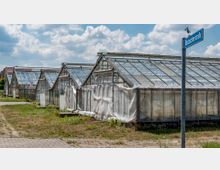Gewächshäuser mit Glasdächern und transparenten Wänden stehen in einer Reihe auf einem grasbewachsenen Grundstück, daneben ein Straßenschild mit der Aufschrift „Obstzüchterstraße“ unter einem bewölkten Himmel.