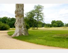 Parklandschaft mit einer großen Grünfläche, einem geschwungenen Kiesweg und einzelnen Bäumen, darunter ein prägnant gemusterter Baumstamm im Vordergrund. Im Hintergrund sind weitere Bäume und ein Kuppelgebäude sichtbar.