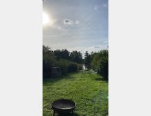 Grüne Rasenfläche mit einer Feuerstelle im Vordergrund, einer gemauerten Grillstelle links, einer Schaukel in der Mitte und dichter Vegetation sowie Bäumen im Hintergrund. Im Hintergrund ist ein kleiner Teich und ein klarer, sonniger Himmel zu sehen.