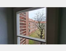 Blick durch ein weiß gerahmtes Fenster auf einen Innenhof mit Rasenfläche und einem kahlen Baum. Gegenüber stehen mehrstöckige Backstein-Wohnhäuser mit weißen Fenstern und roten Ziegeldächern.