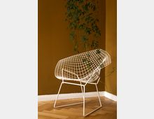 Ein weißer Metallstuhl mit Gitterdesign steht vor einer senfgelben Wand. Eine Kletterpflanze hängt von oben herab und berührt teilweise den Stuhl, der auf einem Parkettboden steht.