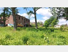 Verlassene Backsteingebäude mit Graffiti befinden sich in einer überwucherten Grünfläche, umgeben von Bäumen. Im Hintergrund ist ein weiteres kleines, weißes Gebäude sichtbar, ebenfalls mit Graffiti, bei sonnigem Wetter und blauem Himmel.