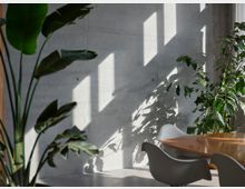 Innenraum mit moderner Betonwand, durch die Licht- und Schattenspiele von Pflanzen entstehen. Im Vordergrund sind große grüne Zimmerpflanzen, ein Holztisch und weiße Stühle zu sehen.