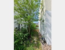 Schmaler Gartenweg mit flachen Steinplatten, gesäumt von dichtem Grün und blühenden Pflanzen links, sowie einer hellen Hausfassade rechts. Im Hintergrund befindet sich ein kleiner Holzzaun und ein weiterer Gartenbereich.