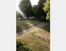 Wiese mit vereinzelten Gehwegen, umgeben von großen, dicht belaubten Bäumen; Sonnenstrahlen fallen schräg durch das Blattwerk und beleuchten den Bereich.