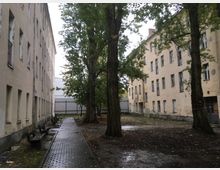 Innenhof zwischen mehrstöckigen, älteren Wohngebäuden mit hellen Fassaden und vielen Fenstern. Ein gepflasterter Weg mit Bänken führt an mehreren großen Bäumen vorbei über einen feuchten, teils unbefestigten Boden bis zu einer hohen Umzäunung am Ende des Hofs.