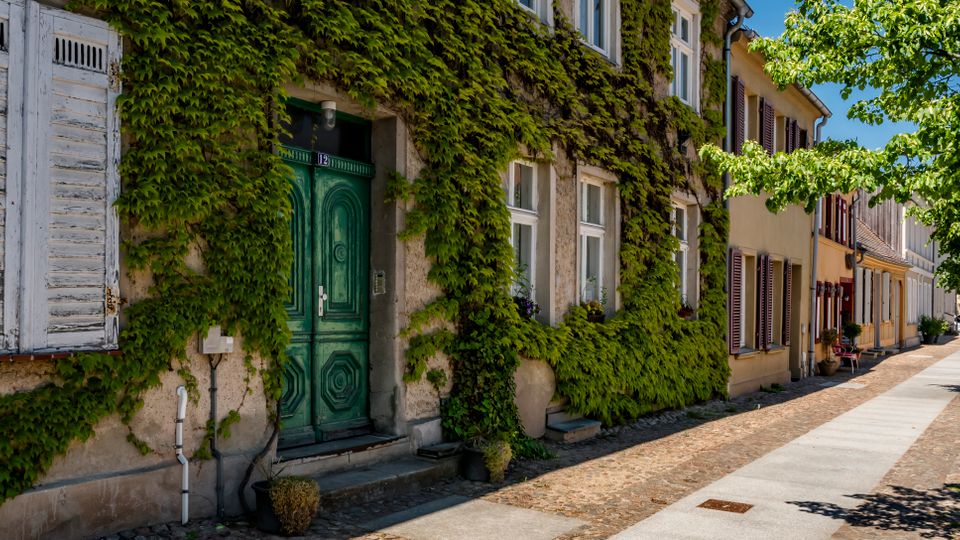 Straßenzug mit alten Wohnhäusern, deren Fassaden teils mit Efeu bewachsen sind; vorne ein Haus mit grüner Eingangstür und weißen Fensterläden. Entlang des Gehwegs stehen Bäume und eine Reihe weiterer Häuser mit Fensterläden und kleinen Vorgärten.
