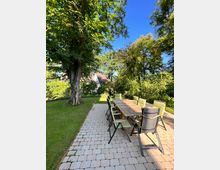 Gepflasterte Terrasse mit einem langen Holztisch und mehreren Stühlen mit grünen Polstern, umgeben von grüner Rasenfläche und großen Bäumen vor einem klaren blauen Himmel. Im Hintergrund ist ein Hausdach sichtbar.