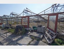 Eine Reihe von verlassenen Gewächshäusern mit zerbrochenen Glasdächern und offener Struktur. Im Vordergrund befinden sich gestapelte Paletten, Kabelrollen und andere Materialien auf einem betonierten Boden.