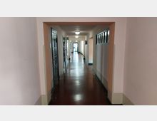 Ein schmaler, moderner Flur mit glänzendem dunkelrotem Boden, cremefarbenen Wänden und schwarzen Türen an der linken Seite. Rechts befinden sich kleine Glasfenster über den Wänden, und im Hintergrund ist eine helle Tür sichtbar.