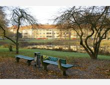 Stadtpark mit kahlen Bäumen, herbstlichem Laub auf dem Boden und zwei grünen Bänken mit Graffiti, im Vordergrund ein Papierkorb. Im Hintergrund ein kleiner Teich, Wohnhäuser und parkende Autos.