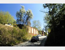 Straße mit Kopfsteinpflaster und parkenden Autos, flankiert von Bäumen und Büschen links sowie einer Reihe von Gebäuden aus Backstein rechts, bei strahlend blauem Himmel. Ein blühender Baum steht links über einer Böschung.