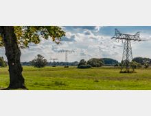 Weite Wiesenlandschaft mit vereinzelten Bäumen und Sträuchern, durchzogen von mehreren Strommasten und Überlandleitungen. Im Vordergrund steht ein großer Baum, dessen Stamm mit Wanderwegmarkierungen versehen ist.