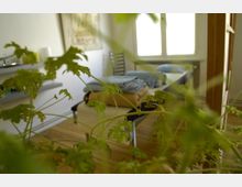 Ein schlicht eingerichteter Raum mit einem Bett, auf dem gefaltete Decken liegen, im Hintergrund ein Fenster mit Blick nach draußen. Im Vordergrund sind unscharfe grüne Pflanzenblätter zu sehen, der Boden ist aus Holz.