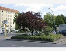 Eine städtische Straßenkreuzung mit einem begrünten Mittelstreifen, der von einem Baum mit dunkelrotem Laub und niedrigen Pflanzen bedeckt ist. Im Hintergrund sind ein mehrstöckiges Wohn- und Geschäftshaus, ein U-Bahn-Schild sowie Verkehrsschilder und Ampeln zu sehen.