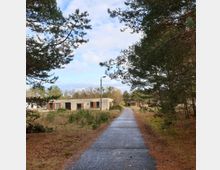 Ein schmaler, asphaltierter Weg führt durch eine bewaldete Umgebung mit Kiefern und niedriger Vegetation. Auf der linken Seite des Bildes stehen verlassene, flache Betongebäude mit leeren Fensteröffnungen und teils verrosteten Elementen.