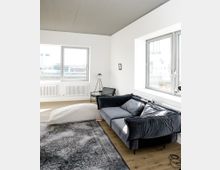 Helles Wohnzimmer mit Holzboden, einem grauen Sofa, einem großen Teppich mit Ornamentmuster und einer weißen Bodenkissenliege. Große Fenster lassen Tageslicht herein, dahinter ist eine städtische Umgebung zu erkennen; Heizkörper befinden sich unter den Fenstern.