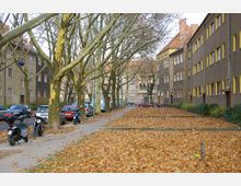 Straßenansicht in einem Wohngebiet mit mehrstöckigen Gebäuden in braunen und gelben Fassadenfarben. Entlang der Straße stehen Bäume mit kahlen Ästen, herabgefallenes Herbstlaub bedeckt den Boden, und parkende Autos sowie Motorräder sind zu sehen.