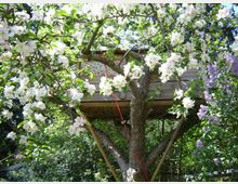 Baumhaus in einem blühenden Apfelbaum mit weißen und leicht rosa Blüten, umgeben von grüner Vegetation und lila Fliedersträuchern. Das Holzhaus ist zwischen den Ästen eingebettet, mit roten Seilen befestigt.