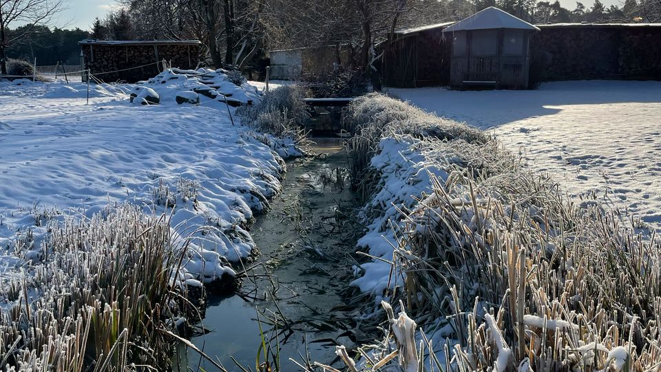 Verschneite Landschaft mit einem schmalen, teilweise zugefrorenen Bachlauf, der zwischen Schilf und Uferbewuchs in Richtung eines kleinen Holzschuppens führt. Im Hintergrund stehen kahle Bäume und niedrige Gebäude unter tief stehender Sonne am klaren Himmel.