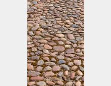 Pflasterweg aus unregelmäßig geformten, glatten Steinen in verschiedenen Brauntönen, mit sichtbaren Fugen, in denen Moose und Erde wachsen.