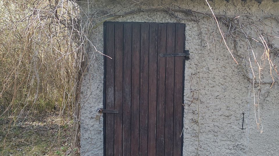 Kleine, einfache Hütte mit verputzter Wand und gewelltem Dach, mittig eine dunkle Holztür mit Metallbändern und Vorhängeschloss. Umgeben von überwucherten Ranken und einem lichten Wald im Hintergrund.