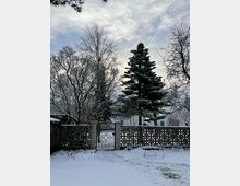 Verschneiter Garten mit hohem Nadelbaum und kahlen Laubbäumen hinter einer niedrigen Betonmauer mit Ornamentmuster und einem schmiedeeisernen Tor. Im Hintergrund sind ein Wohnhaus und weitere Grundstücke unter bewölktem Himmel zu sehen.