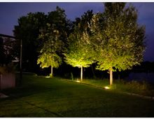 Rasenfläche mit beleuchteten Bäumen in einer parkähnlichen Umgebung bei Nacht; im Hintergrund sind dunkle Bäume und ein Gewässer zu erkennen. Kleine Lichter werfen warmes Licht auf die Stämme und das Laub der Bäume.