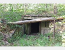 Eingang zu einem verlassenen Bunker in einem bewaldeten Gebiet, halb verdeckt von Vegetation und einem umgestürzten Baumstamm, der diagonal über den Eingang liegt. Der Bunker ist in eine grasbewachsene Erdhügel-Struktur eingebettet.