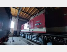 Eine historische rote Diesellokomotive der Deutschen Reichsbahn steht in einem überdachten Lokschuppen mit Holzbalkendecke und seitlichem Lichteinfall durch ein Fenster. Die Lok trägt die Nummer "114 774-3" und ist von metallischen und technischen Details geprägt.